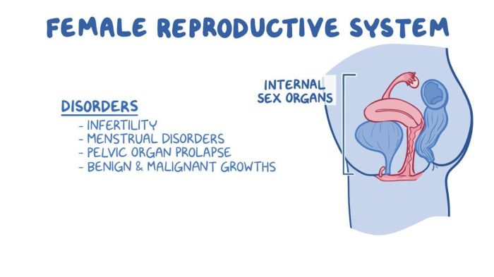 Reproductive Health Disorders